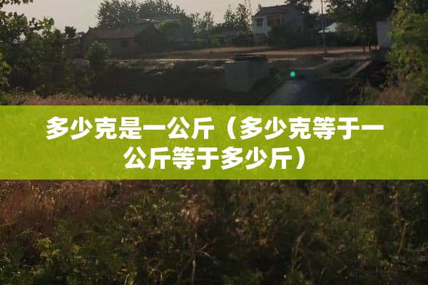 多少克是一公斤（多少克等于一公斤等于多少斤）