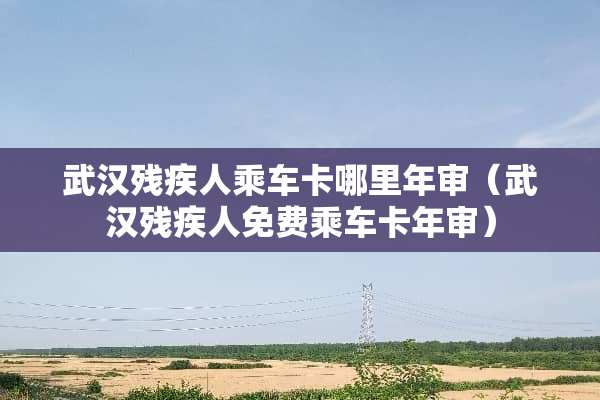 武汉残疾人乘车卡哪里年审（武汉残疾人免费乘车卡年审）
