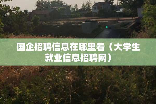 国企招聘信息在哪里看（大学生就业信息招聘网）