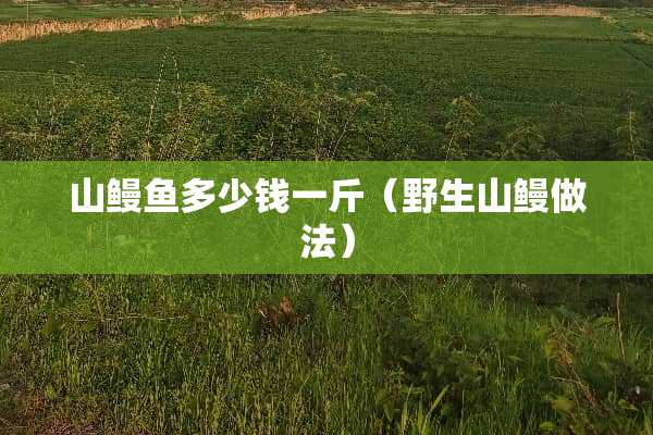 山鳗鱼多少钱一斤（野生山鳗做法）