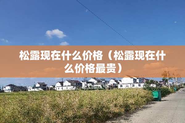 松露现在什么价格（松露现在什么价格最贵）