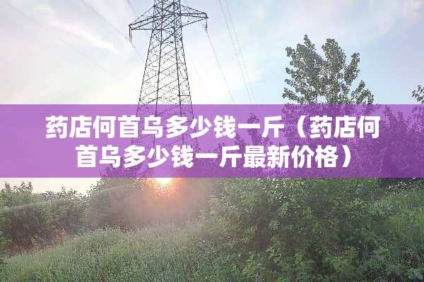 药店何首乌多少钱一斤（药店何首乌多少钱一斤最新价格）