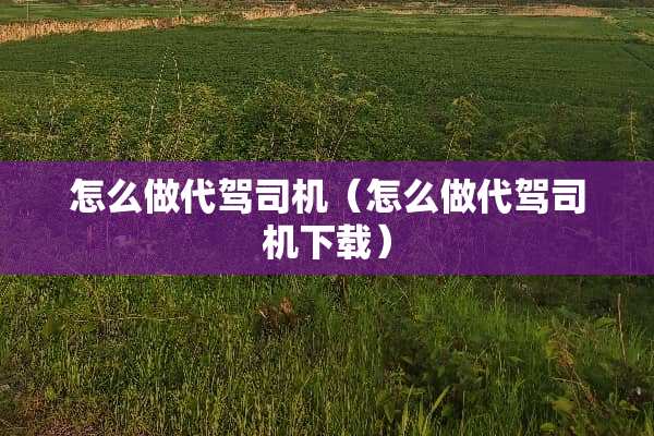 怎么做代驾司机（怎么做代驾司机下载）