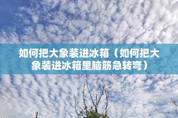 如何把大象装进冰箱（如何把大象装进冰箱里脑筋急转弯）