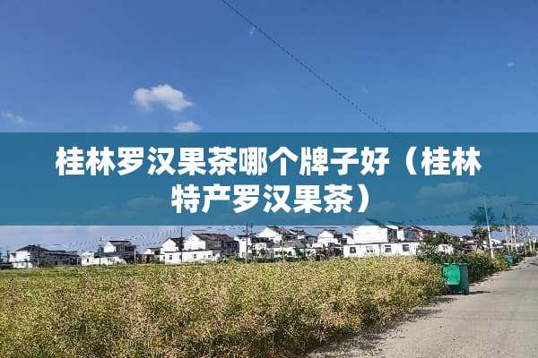 桂林罗汉果茶哪个牌子好（桂林特产罗汉果茶）