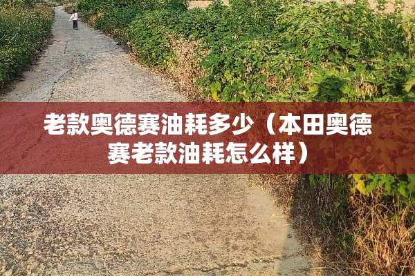 老款奥德赛油耗多少（本田奥德赛老款油耗怎么样）