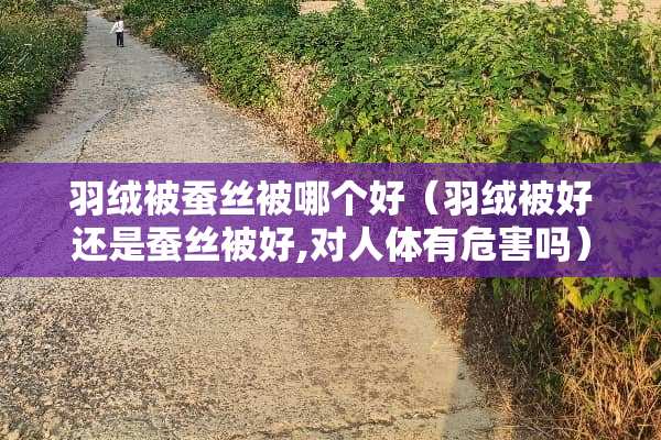 羽绒被蚕丝被哪个好（羽绒被好还是蚕丝被好,对人体有危害吗）