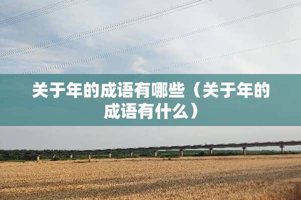 关于年的成语有哪些（关于年的成语有什么）