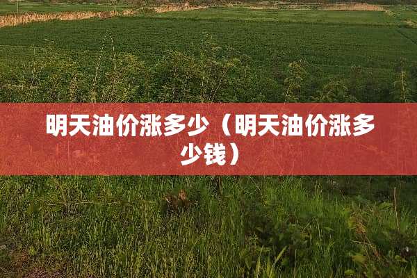 明天油价涨多少（明天油价涨多少钱）