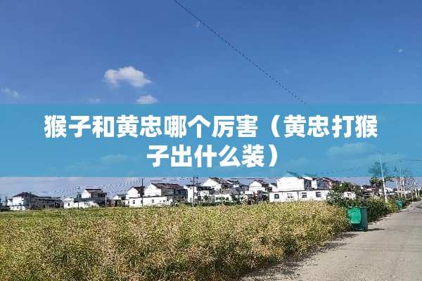猴子和黄忠哪个厉害（黄忠打猴子出什么装）