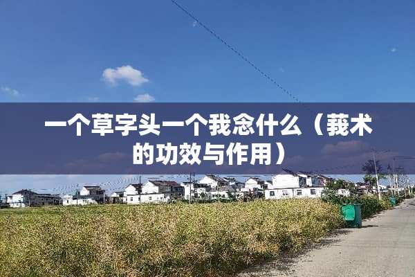 一个草字头一个我念什么（莪术的功效与作用）