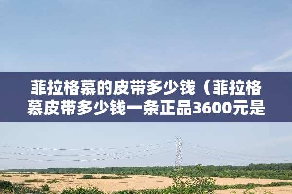 菲拉格慕的皮带多少钱（菲拉格慕皮带多少钱一条正品3600元是那一款）