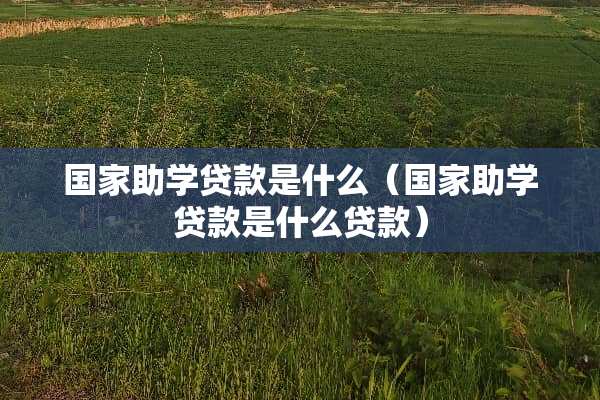 国家助学贷款是什么（国家助学贷款是什么贷款）