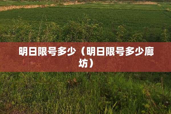 明日限号多少（明日限号多少廊坊）