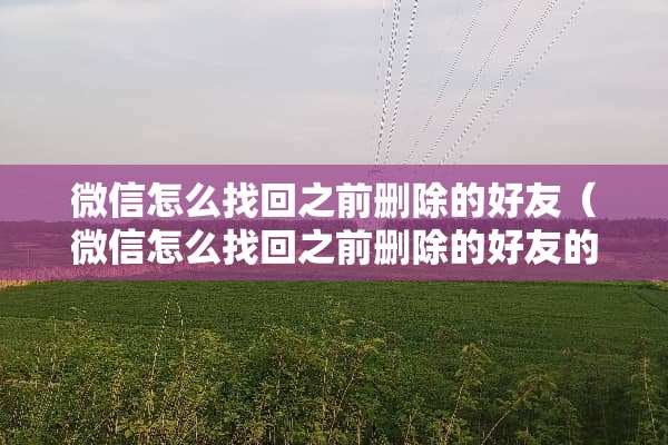 微信怎么找回之前删除的好友（微信怎么找回之前删除的好友的聊天记录）