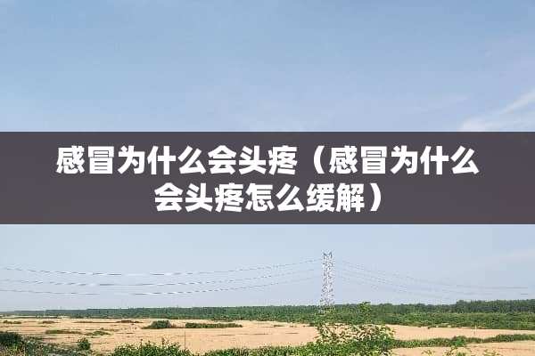 感冒为什么会头疼（感冒为什么会头疼怎么缓解）