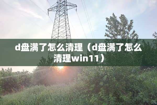 d盘满了怎么清理（d盘满了怎么清理win11）