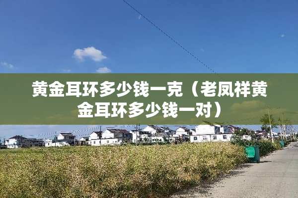 黄金耳环多少钱一克（老凤祥黄金耳环多少钱一对）