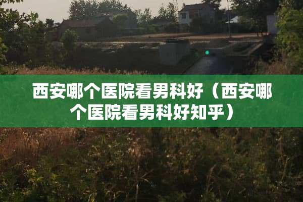 西安哪个医院看男科好（西安哪个医院看男科好知乎）