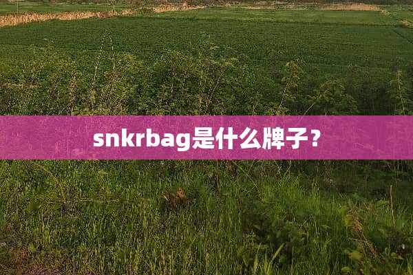snkrbag是什么牌子？