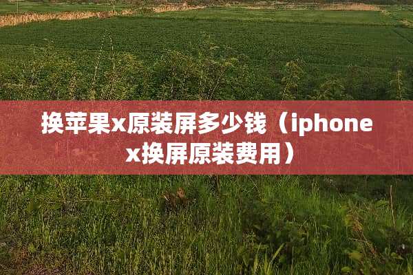 换苹果x原装屏多少钱（iphone x换屏原装费用）