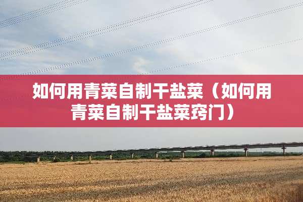 如何用青菜自制干盐菜（如何用青菜自制干盐菜窍门）