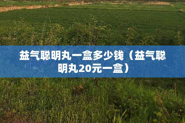 益气聪明丸一盒多少钱（益气聪明丸20元一盒）