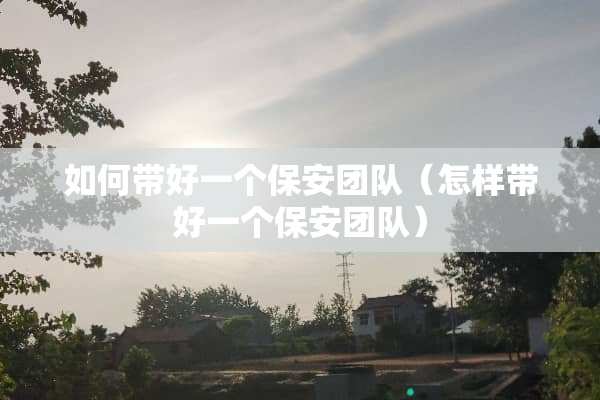 如何带好一个保安团队（怎样带好一个保安团队）
