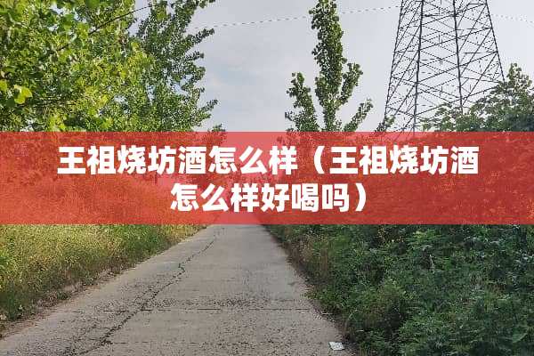 王祖烧坊酒怎么样（王祖烧坊酒怎么样好喝吗）