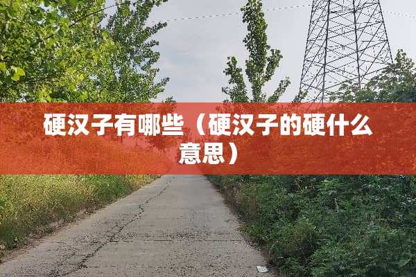 硬汉子有哪些（硬汉子的硬什么意思）