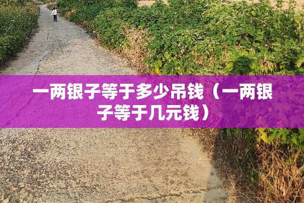 一两银子等于多少吊钱（一两银子等于几元钱）