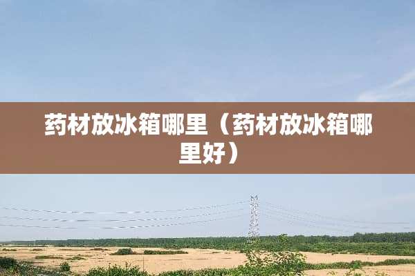 药材放冰箱哪里（药材放冰箱哪里好）