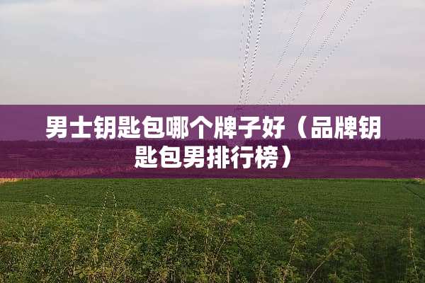 男士钥匙包哪个牌子好（品牌钥匙包男排行榜）