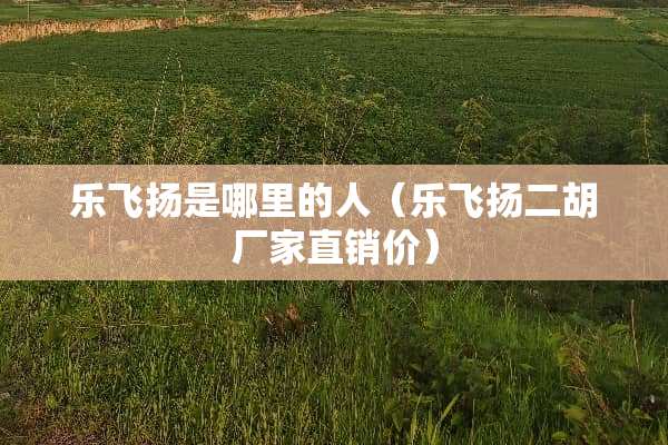 乐飞扬是哪里的人（乐飞扬二胡厂家直销价）