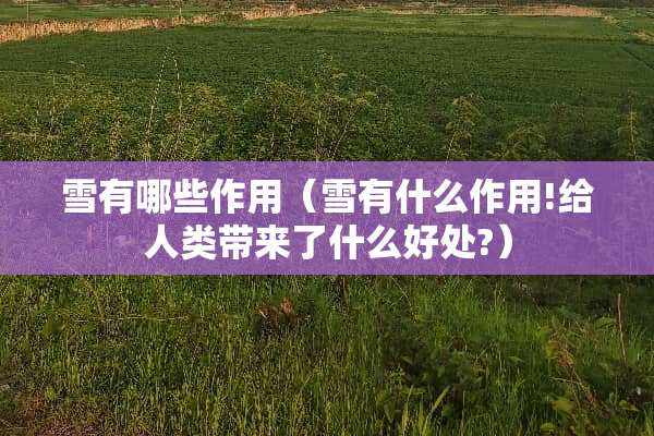 雪有哪些作用（雪有什么作用!给人类带来了什么好处?）