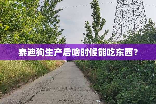 泰迪狗生产后啥时候能吃东西？
