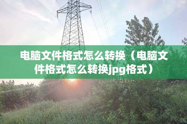 电脑文件格式怎么转换（电脑文件格式怎么转换jpg格式）