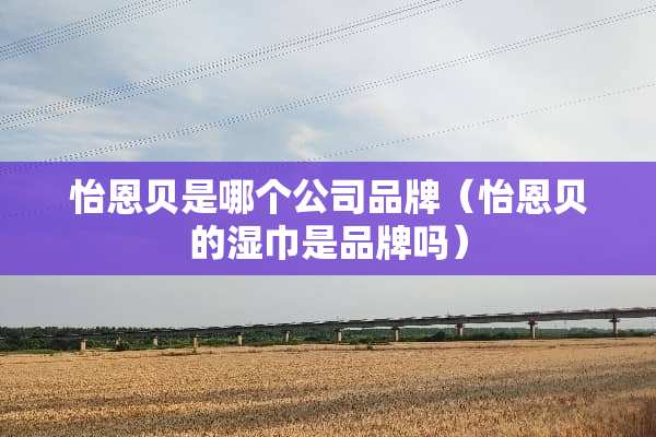 怡恩贝是哪个公司品牌（怡恩贝的湿巾是品牌吗）
