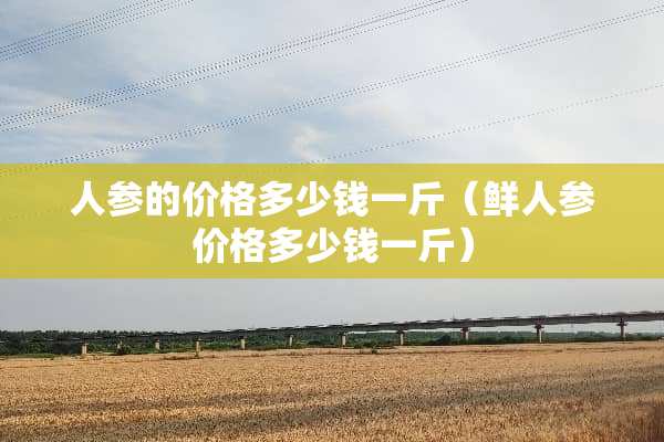 人参的价格多少钱一斤（鲜人参价格多少钱一斤）