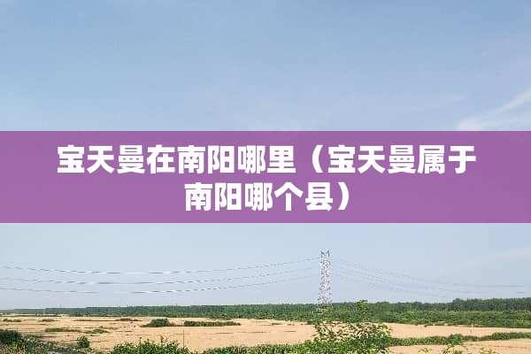 宝天曼在南阳哪里（宝天曼属于南阳哪个县）