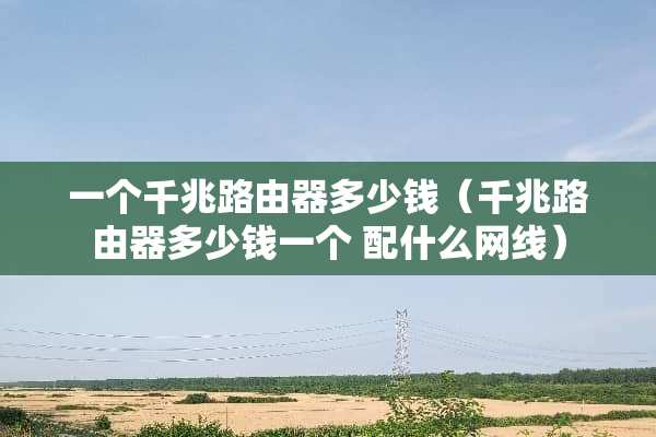 一个千兆路由器多少钱（千兆路由器多少钱一个 配什么网线）