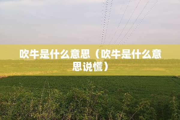 吹牛是什么意思（吹牛是什么意思说慌）