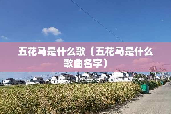 五花马是什么歌（五花马是什么歌曲名字）