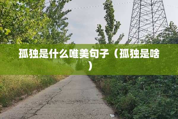 孤独是什么唯美句子（孤独是啥）