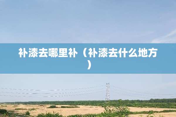 补漆去哪里补（补漆去什么地方）
