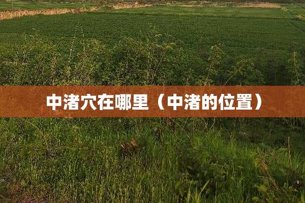 中渚穴在哪里（中渚的位置）