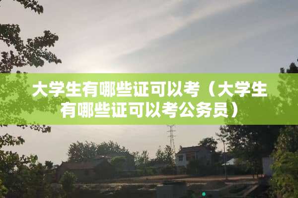 大学生有哪些证可以考（大学生有哪些证可以考公务员）
