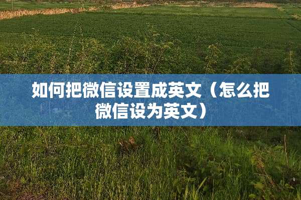 如何把微信设置成英文（怎么把微信设为英文）