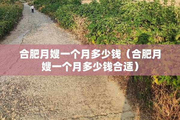 合肥月嫂一个月多少钱（合肥月嫂一个月多少钱合适）