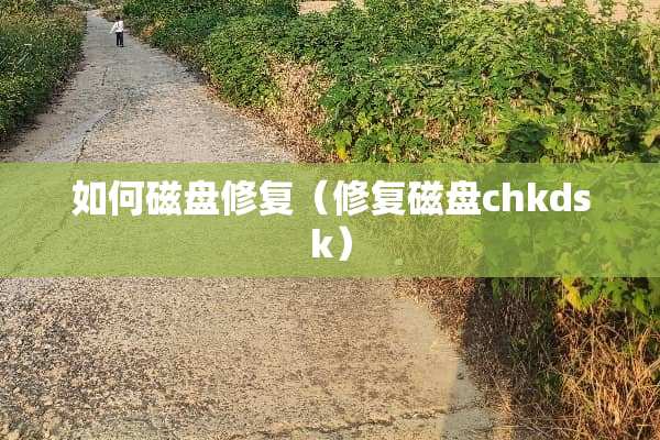 如何磁盘修复（修复磁盘chkdsk）